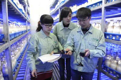 产业服务中的其他技术推广服务 引导新兴技术赋能企业发展